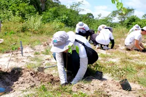 P&G và Central Retail Việt Nam trồng rừng tại Tà Kóu