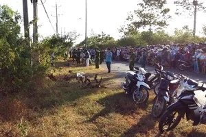 Phát hiện thi thể một phụ nữ chết trong bụi cây