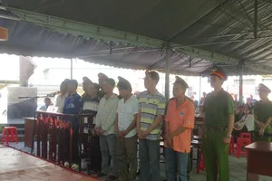 Băng trộm sơn trên tàu nước ngoài lãnh án