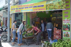 Người Vũng Tàu 'giải cứu' chuối Đồng Nai