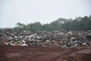 Ô nhiễm hồ Đá Đen: BR-VT làm việc với Đồng Nai