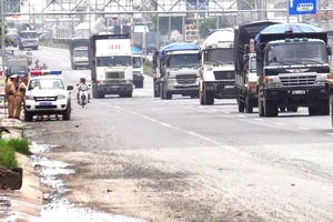 Bà Rịa-Vũng Tàu: Tước giấy phép lái xe 131 tài xế