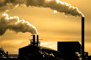 Nhiều công ty hải sản ở Bà Rịa - Vũng Tàu bị xử phạt