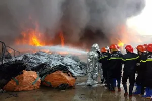 Điều tra vụ cháy làm đổ cột néo điện 110 KV 