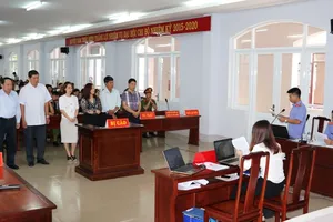 Tòa nói có lừa đảo, công ty nói chỉ sai hành chính