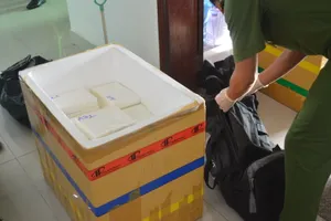 Khởi tố vụ án vận chuyển 119 kg cocaine