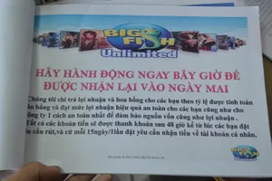 Lập trang web Big Fish Game Việt Nam để lừa đảo ​