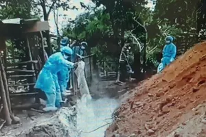 Bà Rịa- Vũng Tàu có hai ổ dịch tả heo châu Phi