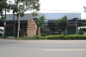 Cưỡng chế buộc chủ địa ốc Alibaba đóng phạt 7,5 triệu đồng?