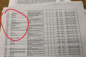 Lô hàng gỗ xuất đi nước ngoài có dấu hiệu trốn thuế