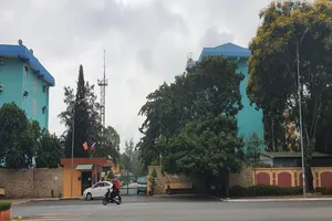 Không có vụ kỹ sư ở Vũng Tàu tiếp xúc bệnh nhân COVID-19