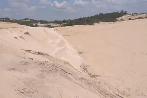 Phạt công ty khai thác cát trộm 100 triệu, tịch thu tang vật