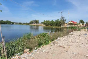 Vây bắt cá sấu trong hồ nước ở Vũng Tàu