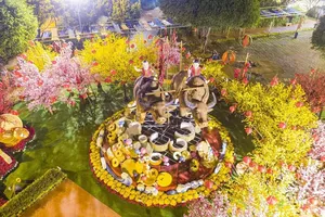 Bà Rịa - Vũng Tàu đề xuất ngưng bắn pháo hoa Tết Tân Sửu 2021