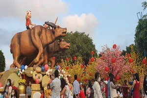 Bà Rịa- Vũng Tàu: Nhiều hoạt động được mở trở lại 