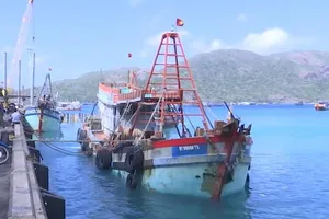 Bà Rịa-Vũng Tàu: Tạm giữ 1 tàu cá chở dầu không rõ nguồn gốc