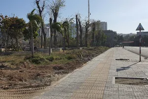 Đã tháo dỡ xong cụm nhà gỗ xây trái phép tại Vũng Tàu