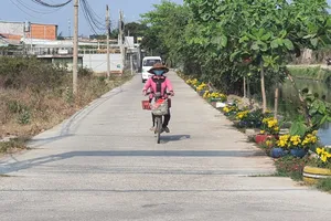 Vũng Tàu: Bờ kênh 'đổi sắc' nhờ đường hoa xã hội hóa
