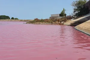 Bà Rịa-Vũng Tàu: Tái diễn tình trạng nước đầm hôi, đổi màu