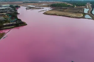 Thay vì nạo vét, rửa bùn tốn kém như trước đây, cơ quan chuyên môn đề xuất có thể giữ và làm giàu từ đầm nước này. Ảnh: MK