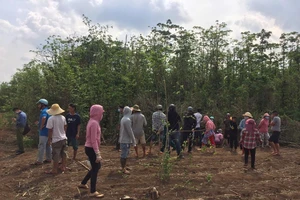 Bà Rịa - Vũng Tàu: Người đàn ông tử vong trong vườn tiêu