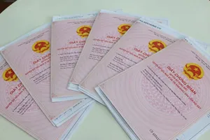 Bà Rịa - Vũng Tàu: Tạm dừng hồ sơ mua bán đất ‘đồng sở hữu'