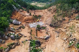 Bà Rịa- Vũng Tàu khởi tố vụ án hủy hoại rừng ở núi Thị Vải