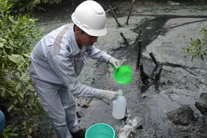 Bà Rịa - Vũng Tàu phạt chủ 1 cơ sở chế biến hải sản 465 triệu đồng