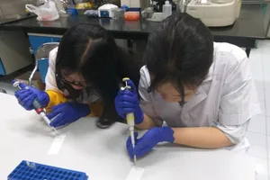 Nữ sinh Vũng Tàu cùng nhóm bạn đạt giải Vàng cuộc thi nghiên cứu tại Mỹ