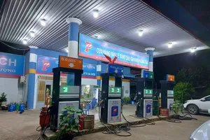 Bà Rịa- Vũng Tàu: Khám xét cửa hàng bán lẻ nghi sản xuất, buôn bán xăng giả