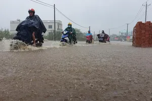 Những giải pháp chống ngập ở khu Hồ Tràm 