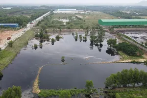 Bà Rịa-Vũng Tàu: 1 công ty bị phạt 500 triệu đồng vì gây sự cố môi trường