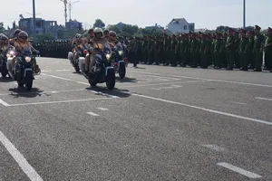 Bà Rịa-Vũng Tàu: Xử lý nhiều vụ vi phạm về kinh tế, tham nhũng, buôn lậu