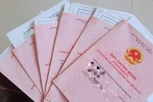 Đề xuất mới về trường hợp chung quyền sử dụng đất tại Bà Rịa-Vũng Tàu