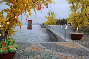 Khung cảnh Tết xưa được tái hiện ở Phố Ông Đồ tại TP Vũng Tàu