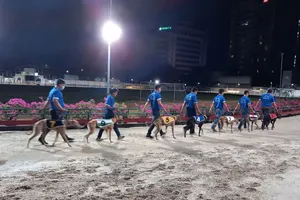 Lý do sân đua chó Vũng Tàu ngưng hoạt động từ 10-3