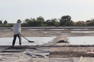 Bà Rịa - Vũng Tàu: Bãi bỏ quyết định về bồi thường không phù hợp Luật Đất đai
