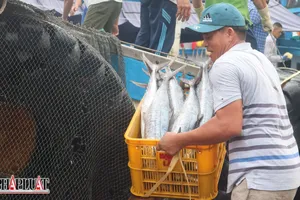 Ngư dân Bà Rịa - Vũng Tàu mong yên tâm vươn khơi, bám biển