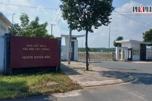 Bà Rịa - Vũng Tàu: Gỡ xong khó khăn cho cụm công nghiệp chế biến hải sản Bình Châu