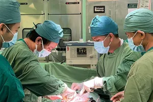 Bà Rịa-Vũng Tàu: Đang cắt cỏ, bị lưỡi cưa máy văng vào bụng