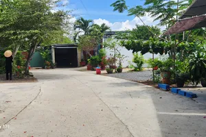 Vũng Tàu: VKS kháng nghị vụ 'mua đất trúng đấu giá vẫn thua kiện'