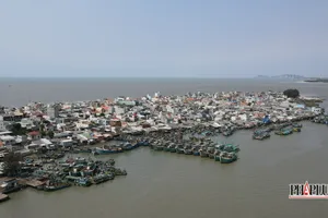 Bà Rịa-Vũng Tàu xử nghiêm tàu cá neo đậu, xuống hàng tại bến tự phát