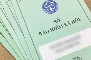 Trốn, chậm đóng Bảo hiểm xã hội, 2 công ty ở Bà Rịa-Vũng Tàu bị phạt