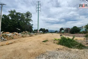 Xin chuyển 2ha đất rừng tự nhiên để làm đường Long Sơn - Cái Mép