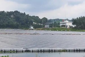 Bà Rịa- Vũng Tàu chỉ đạo thực hiện kết luận thanh tra về các dự án điện gió, điện mặt trời