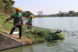 Khẩn trương khắc phục tạm tình trạng ô nhiễm hồ Bàu Sen Vũng Tàu