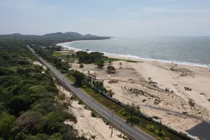 Bà Rịa- Vũng Tàu chuyển mục đích hơn 43 ha đất rừng để làm 3 dự án đường trọng điểm