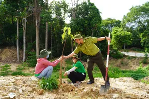 Vườn Quốc gia Côn Đảo trồng cây dầu hưởng ứng Ngày Môi trường thế giới