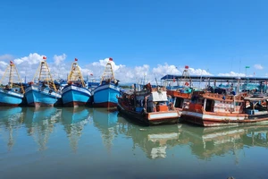 Bà Rịa- Vũng Tàu lập Tổ xác minh, xử lý tàu cá vi phạm về giám sát hành trình