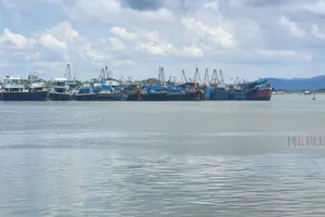 Bà Rịa - Vũng Tàu nêu tiến độ xử lý 4 vụ án vi phạm về mất kết nối giám sát hành trình tàu cá